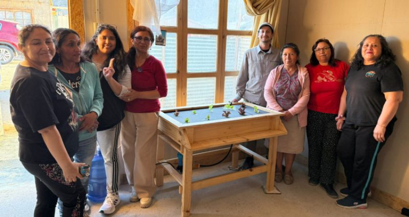 INIA Intihuasi impulsa hidroponía en Atacama