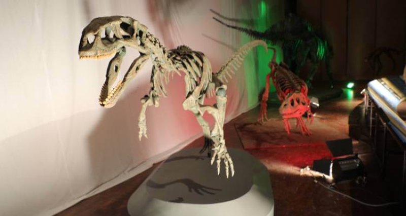 Exposición de Dinosaurios más grande de Chile se presenta en Copiapó –  Atacama Noticias