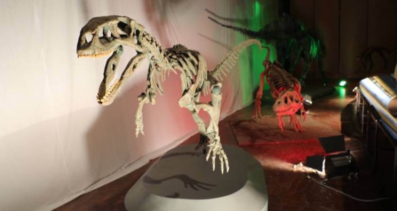 Exposición de Dinosaurios más grande de Chile se presenta en Copiapó – Atacama Noticias Exposición de Dinosaurios más grande de Chile se presenta en Copiapó – Atacama Noticias