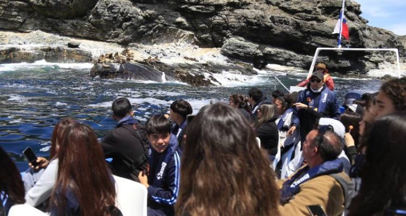 Avistamiento de cetáceos reúne a estudiantes de Freirina y Cachiyuyo