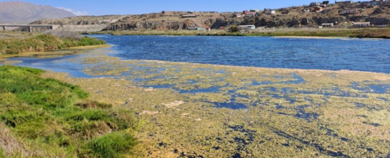 Directora regional del SBAP Atacama inicia gira por áreas protegidas