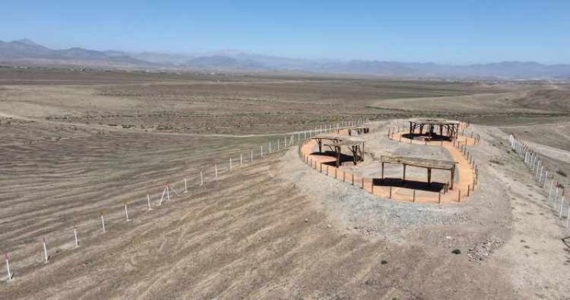 Temporada de observación de flores en Mirador del Desierto Florido