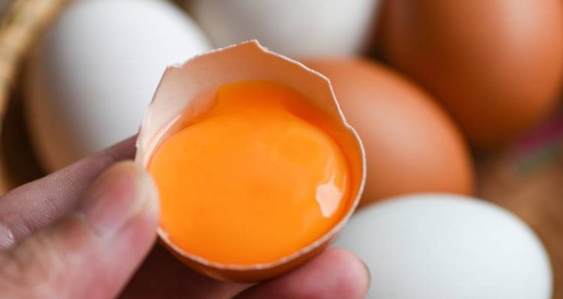 Advierten riesgo de salmonelosis por consumo de huevo crudo