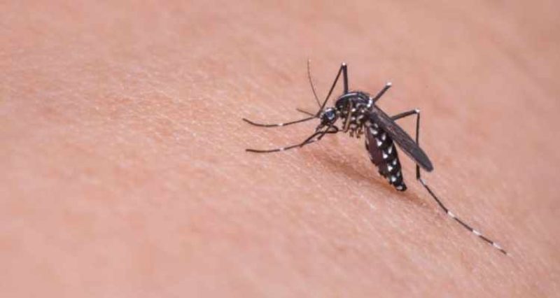 Alerta Temprana Preventiva en Atacama por Alteración Sanitaria Alerta Temprana Preventiva en Atacama por Alteración Sanitaria