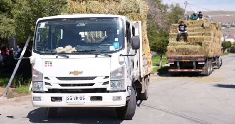 Entrega de fardos de alfalfa en Huasco para crianceros afectados