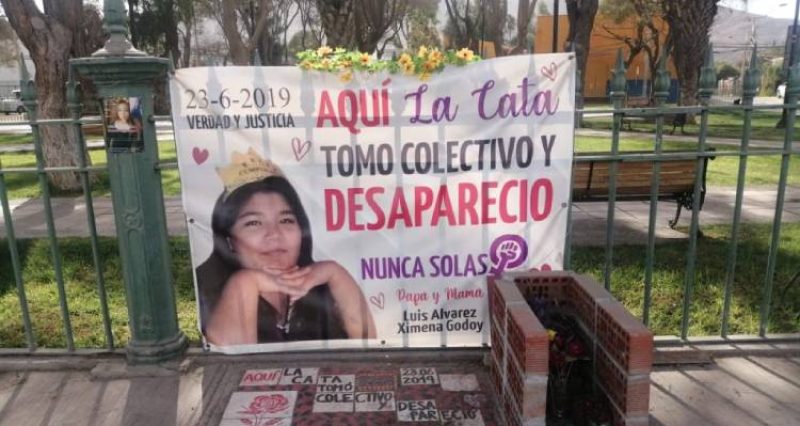 Expertas MESECVI alertan sobre desapariciones y femicidios en Atacama Expertas MESECVI alertan sobre desapariciones y femicidios en Atacama